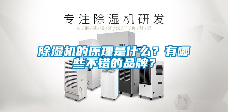 除濕機的原理是什么？有哪些不錯的品牌？