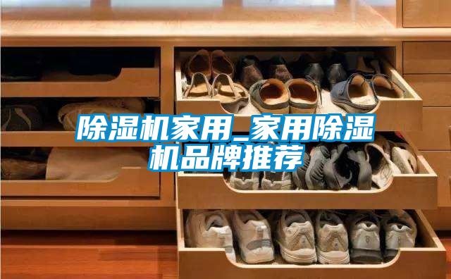 除濕機家用_家用除濕機品牌推薦