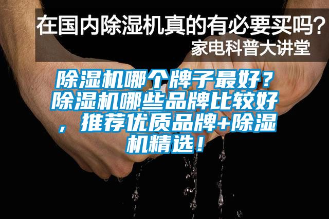 除濕機哪個牌子最好？除濕機哪些品牌比較好，推薦優質品牌+除濕機精選！