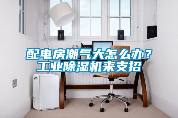 配電房潮氣大怎么辦？工業除濕機來支招