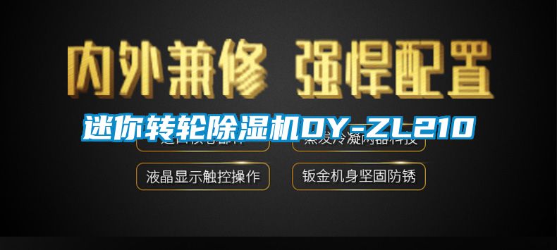 迷你轉輪除濕機DY-ZL210