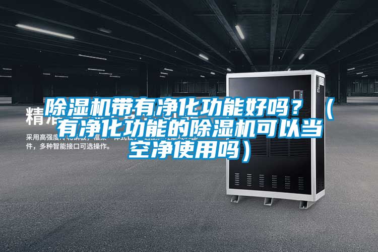 除濕機帶有凈化功能好嗎？（有凈化功能的除濕機可以當空凈使用嗎）