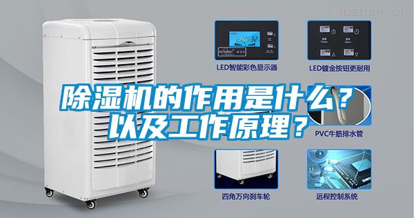 除濕機的作用是什么？以及工作原理？