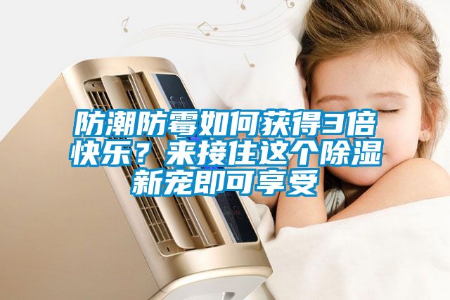 防潮防霉如何獲得3倍快樂？來接住這個除濕新寵即可享受