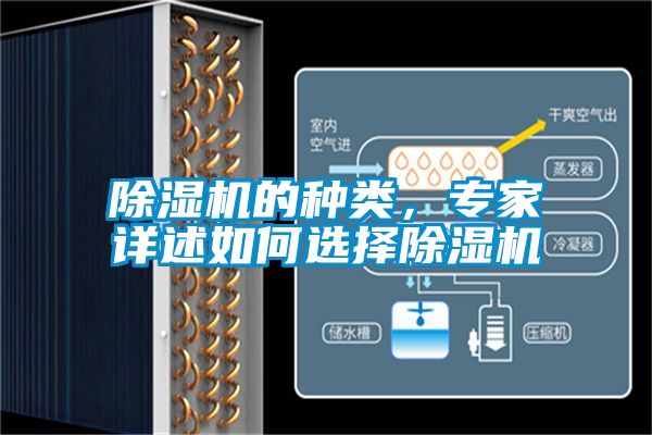 除濕機的種類，專家詳述如何選擇除濕機