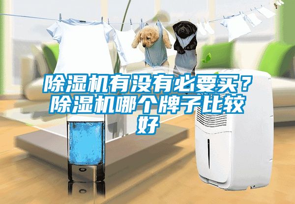 除濕機有沒有必要買？除濕機哪個牌子比較好