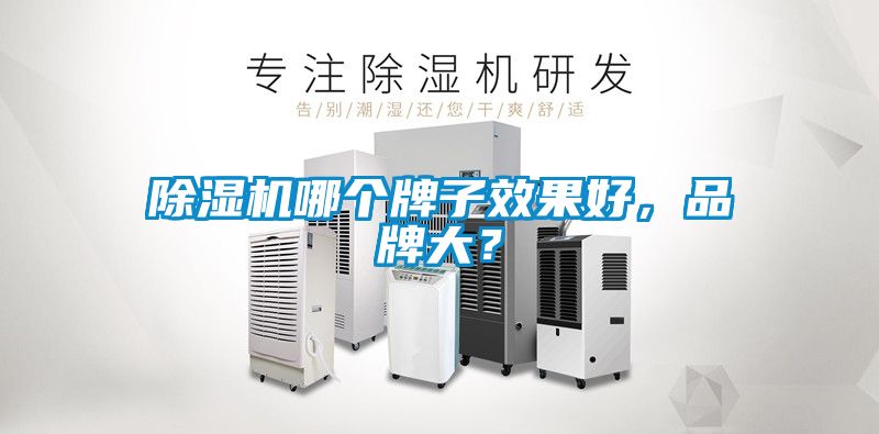 除濕機哪個牌子效果好，品牌大？