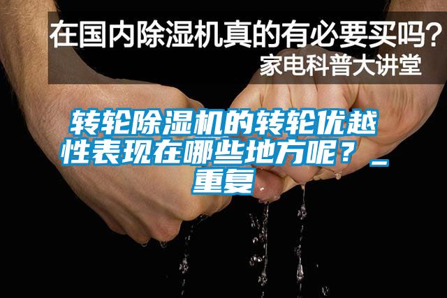 轉輪除濕機的轉輪優越性表現在哪些地方呢？_重復