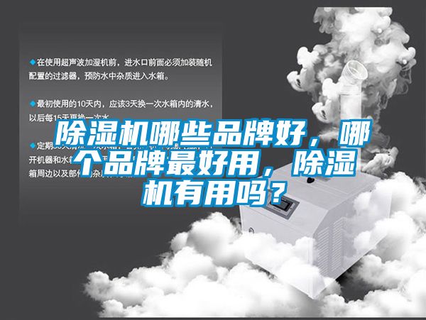 除濕機哪些品牌好，哪個品牌最好用，除濕機有用嗎？