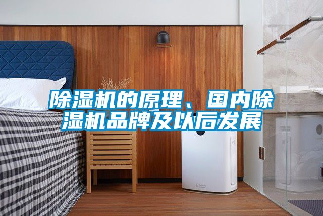 除濕機的原理、國內除濕機品牌及以后發展