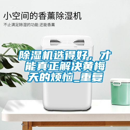 除濕機選得好，才能真正解決黃梅天的煩惱_重復