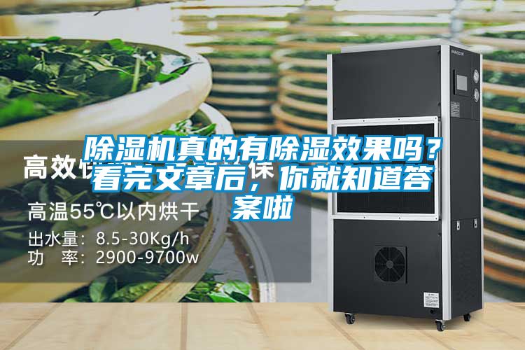 除濕機真的有除濕效果嗎？看完文章后，你就知道答案啦