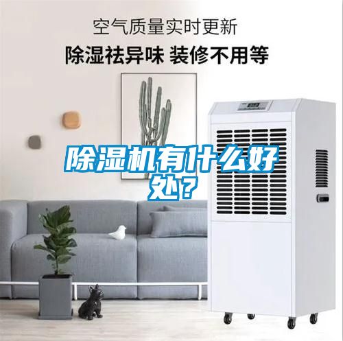 除濕機有什么好處？