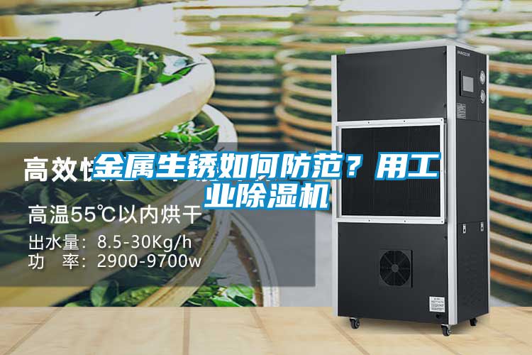 金屬生銹如何防范？用工業除濕機