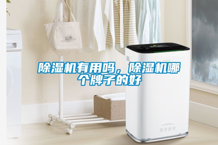 除濕機有用嗎，除濕機哪個牌子的好