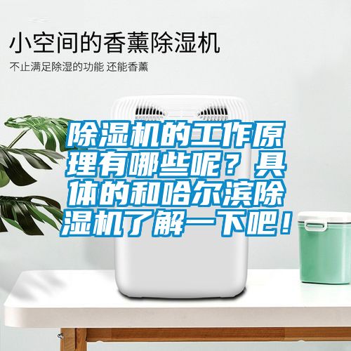除濕機的工作原理有哪些呢？具體的和哈爾濱除濕機了解一下吧！