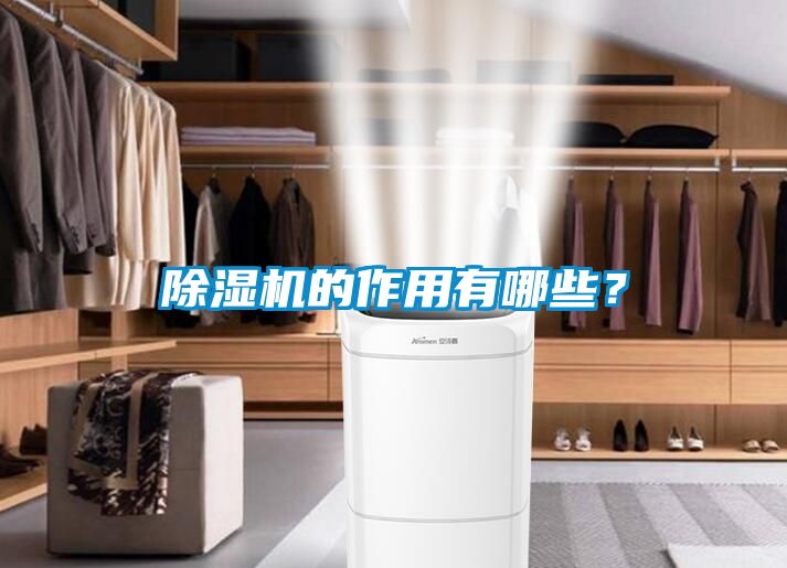 除濕機的作用有哪些？