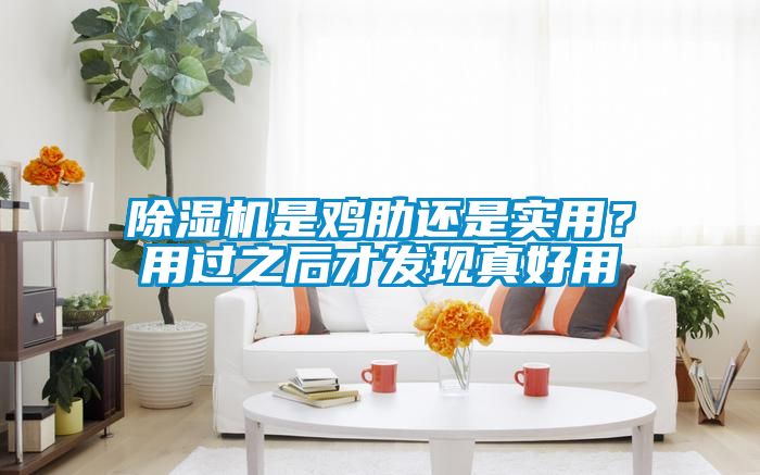 除濕機是雞肋還是實用？用過之后才發現真好用