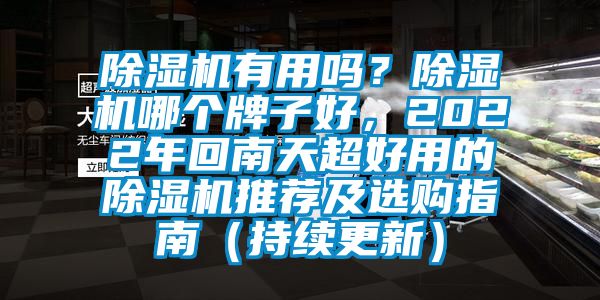 除濕機有用嗎？除濕機哪個牌子好，2022年回南天超好用的除濕機推薦及選購指南（持續更新）