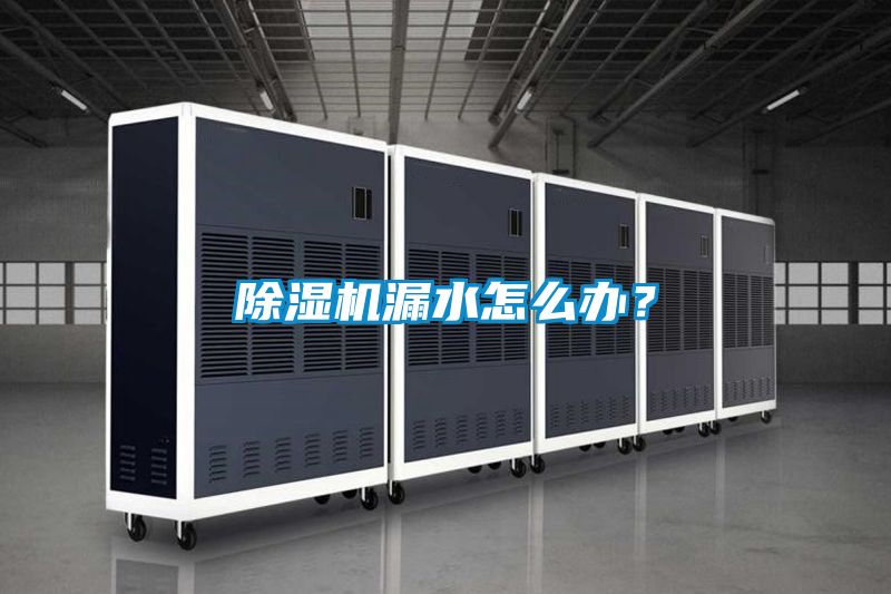 除濕機漏水怎么辦？