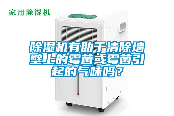 除濕機有助于清除墻壁上的霉菌或霉菌引起的氣味嗎？
