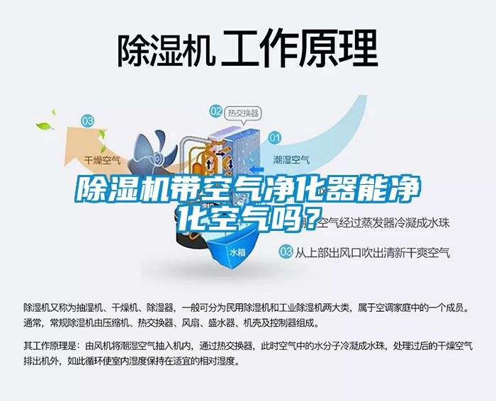 除濕機帶空氣凈化器能凈化空氣嗎？