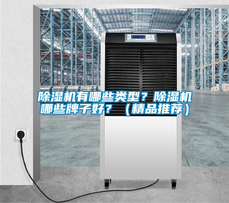 除濕機有哪些類型？除濕機哪些牌子好？（精品推薦）