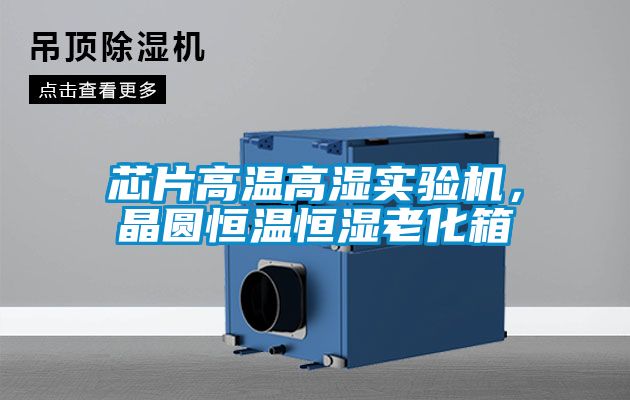 芯片高溫高濕實驗機，晶圓恒溫恒濕老化箱