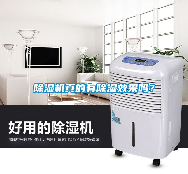 除濕機真的有除濕效果嗎？