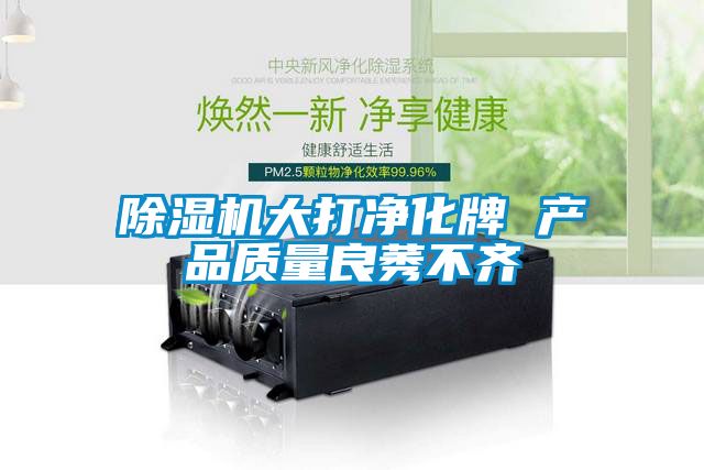 除濕機大打凈化牌 產品質量良莠不齊