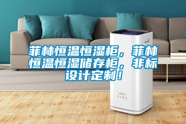 菲林恒溫恒濕柜，菲林恒溫恒濕儲存柜，非標設計定制！