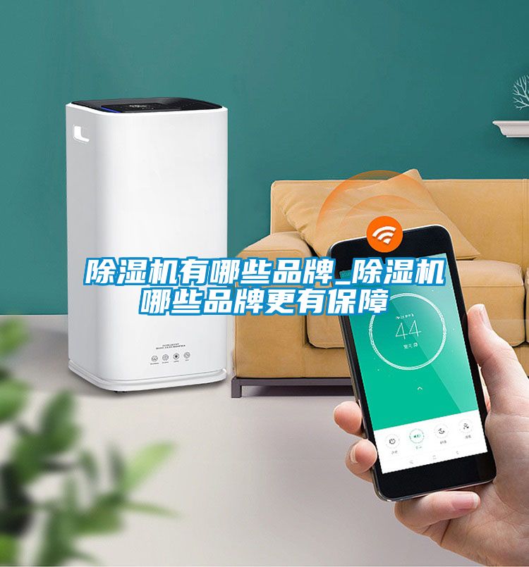 除濕機有哪些品牌_除濕機哪些品牌更有保障