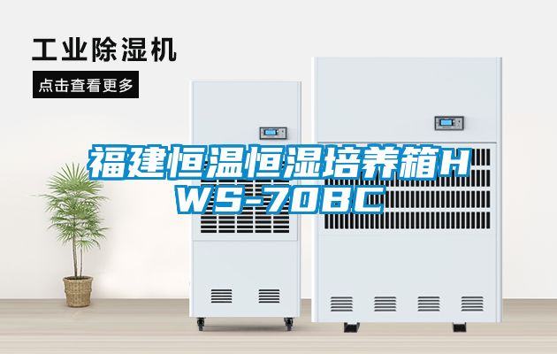 福建恒溫恒濕培養箱HWS-70BC