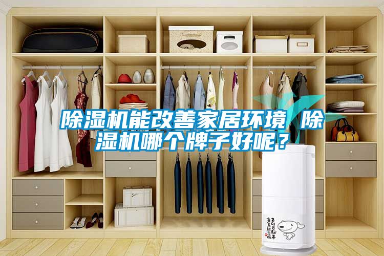 除濕機能改善家居環境 除濕機哪個牌子好呢？