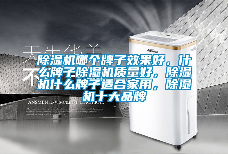 除濕機哪個牌子效果好，什么牌子除濕機質量好，除濕機什么牌子適合家用，除濕機十大品牌