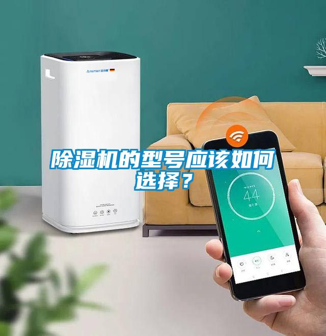 除濕機的型號應該如何選擇？