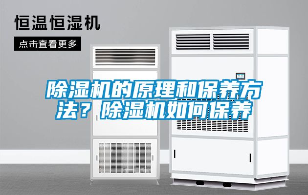 除濕機的原理和保養方法？除濕機如何保養