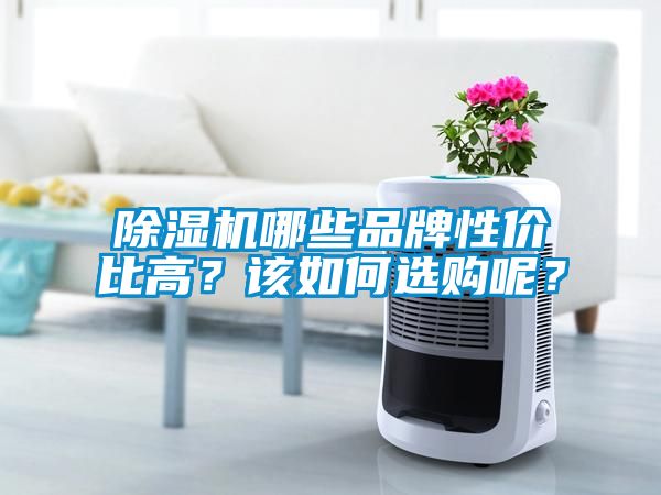 除濕機哪些品牌性價比高？該如何選購呢？