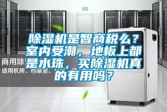 除濕機是智商稅么？室內受潮，地板上都是水珠，買除濕機真的有用嗎？