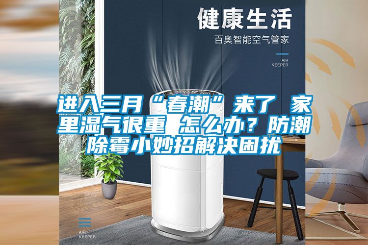 進入三月“春潮”來了 家里濕氣很重 怎么辦？防潮除霉小妙招解決困擾