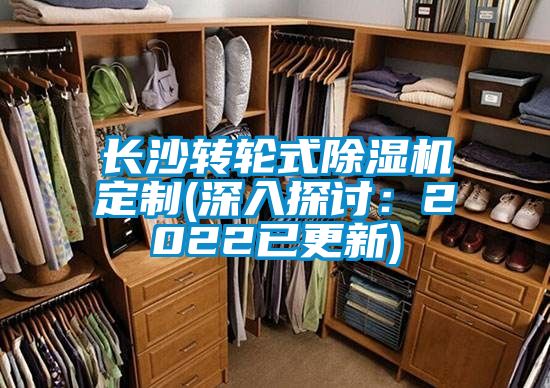 長沙轉輪式除濕機定制(深入探討：2022已更新)