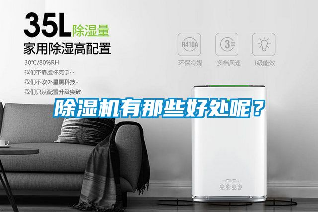 除濕機有那些好處呢？