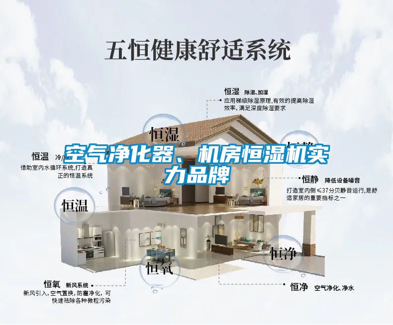 空氣凈化器、機房恒濕機實力品牌