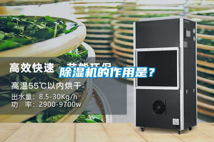 除濕機的作用是？