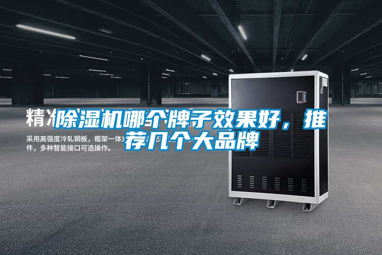 除濕機哪個牌子效果好，推薦幾個大品牌