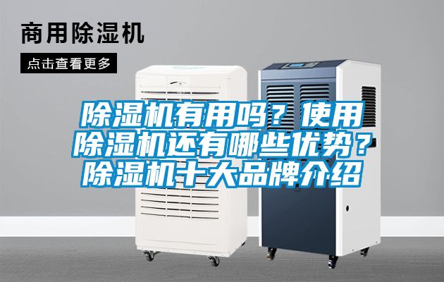 除濕機有用嗎？使用除濕機還有哪些優勢？除濕機十大品牌介紹