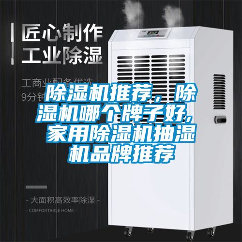 除濕機推薦，除濕機哪個牌子好, 家用除濕機抽濕機品牌推薦