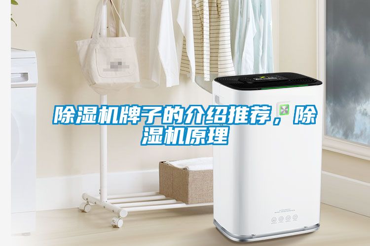 除濕機牌子的介紹推薦，除濕機原理