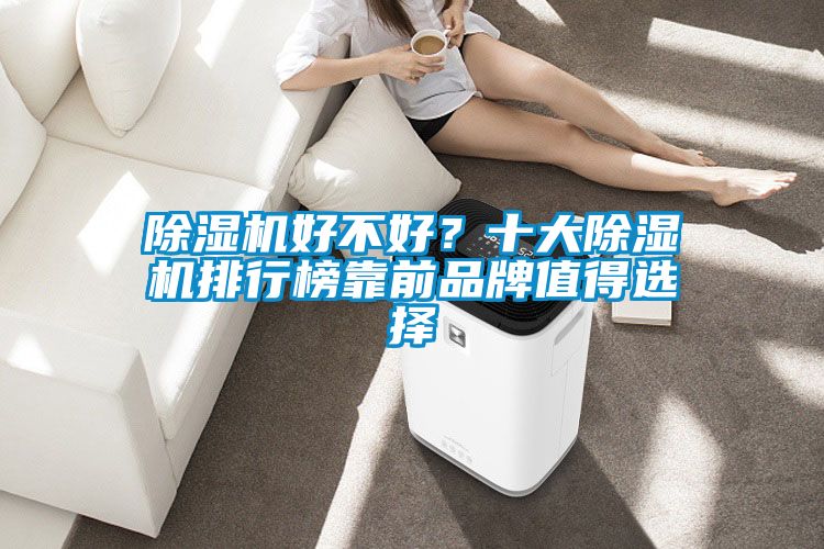 除濕機好不好？十大除濕機排行榜靠前品牌值得選擇