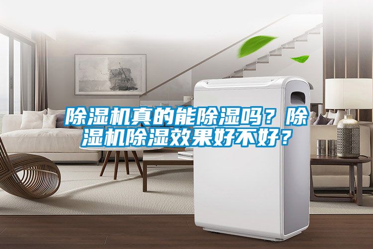 除濕機真的能除濕嗎？除濕機除濕效果好不好？